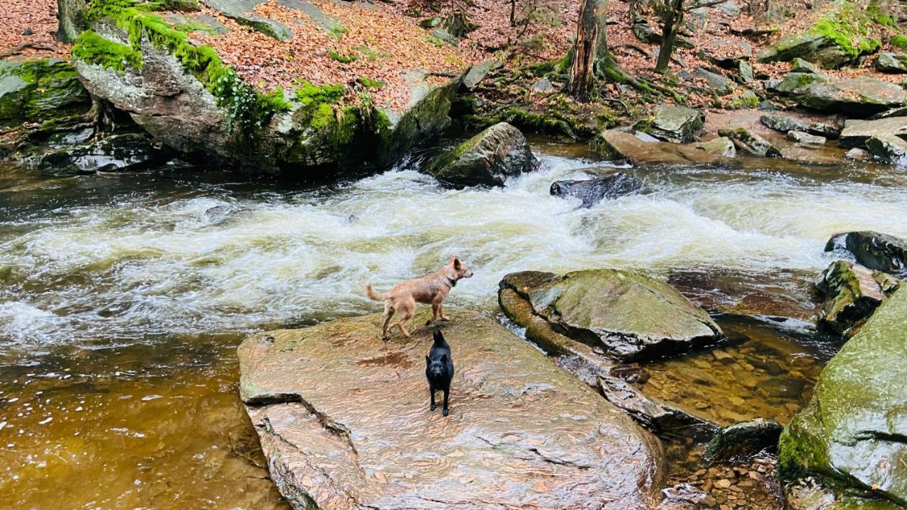 Chalupa u Bohumila Rybna nad Zdobnici Bagian luar foto