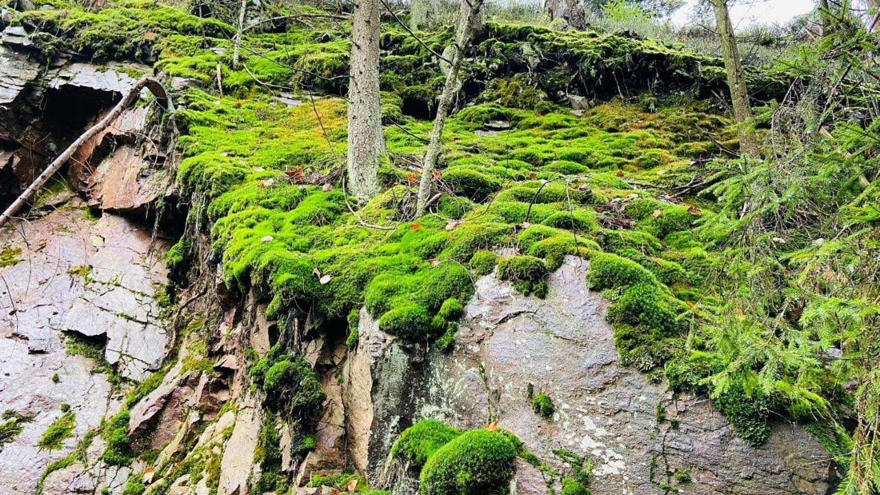 Chalupa u Bohumila Rybna nad Zdobnici Bagian luar foto